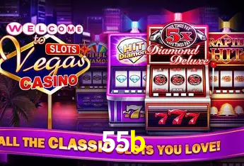 Flash Promotion 55b